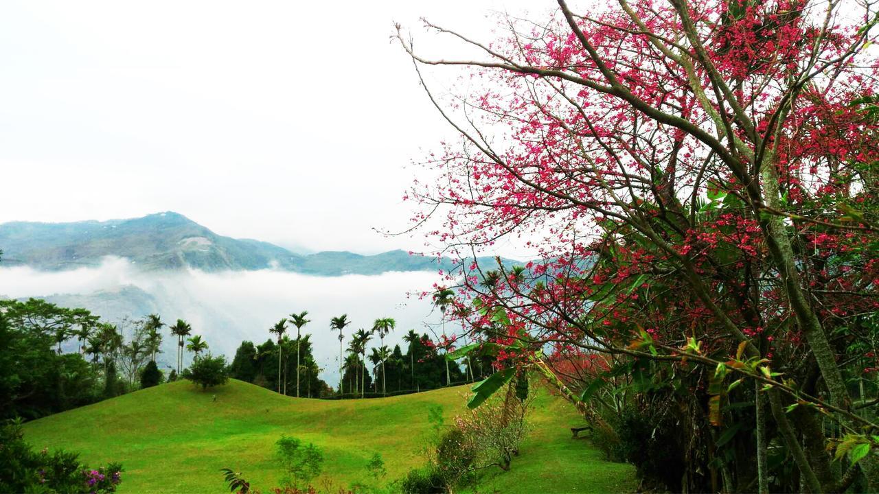 Foggy Wonderland Villa Trúc Sơn Ngoại thất bức ảnh